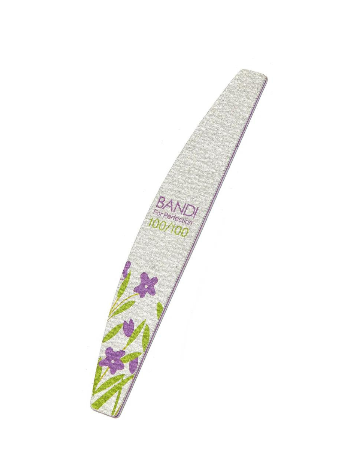 BANDI FILE (100/100)